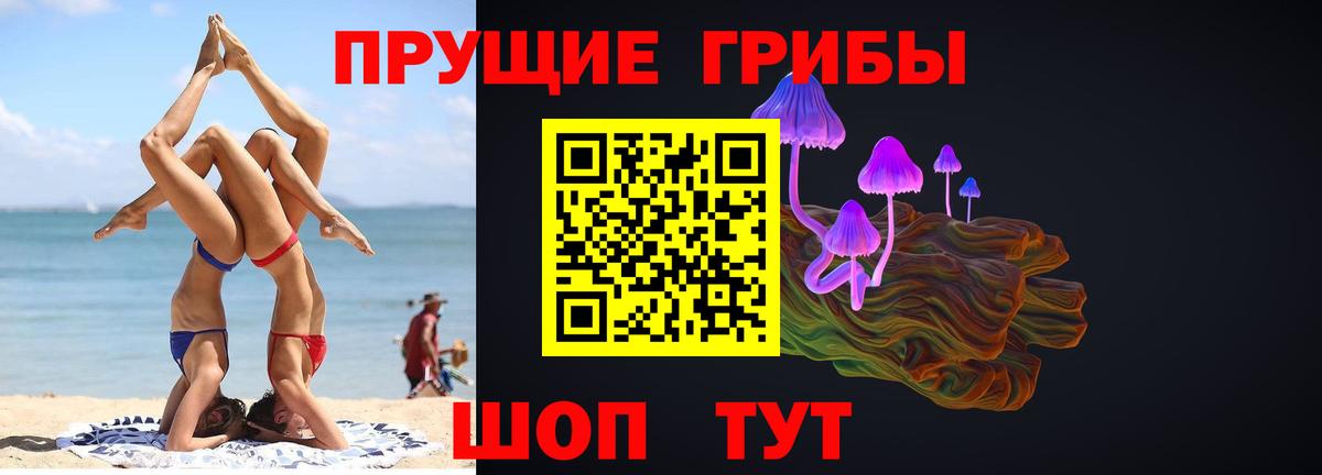 Псилоцибиновые грибы прущие грибы Тобольск