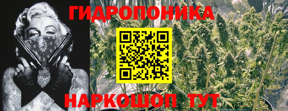 Бошки марихуана семена Тобольск
